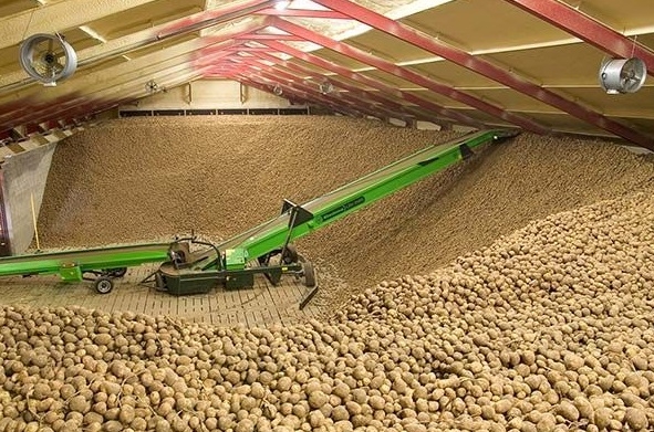 Păstrarea depozitarea cartofilor – AgroProspect